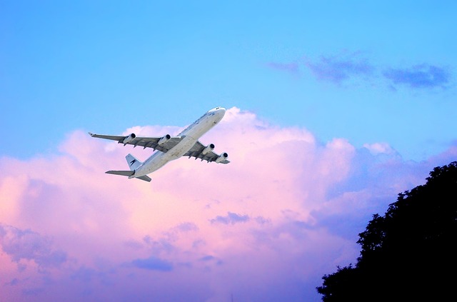 飛行機